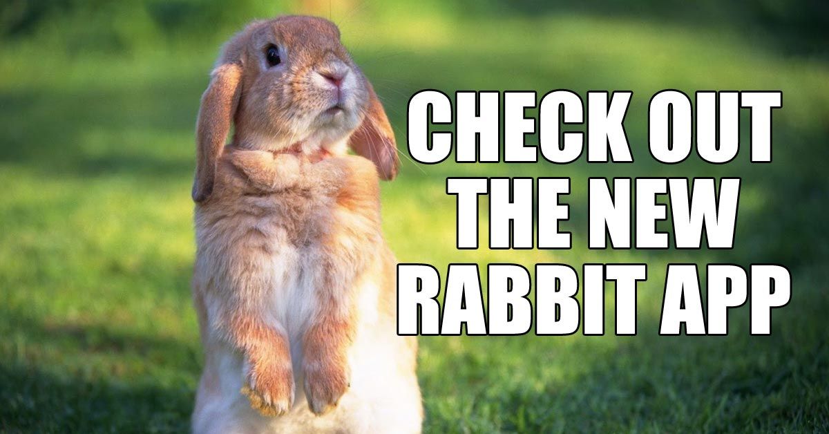 rabbitry management software